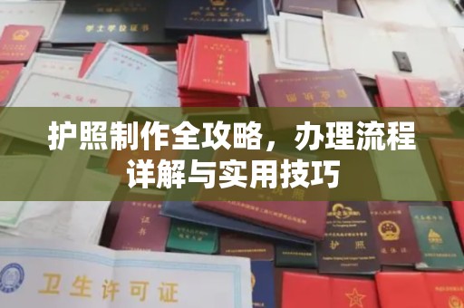 曹县护照制作全攻略，办理流程详解与实用技巧