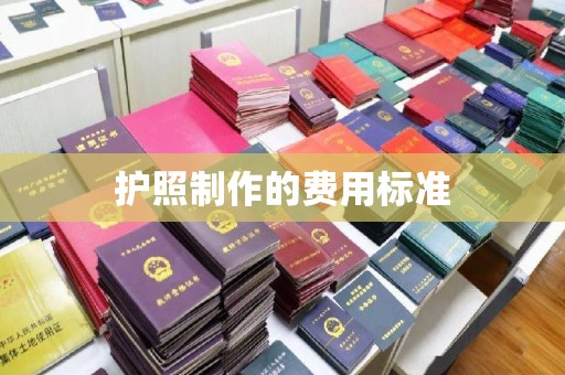 曹县护照制作的费用标准