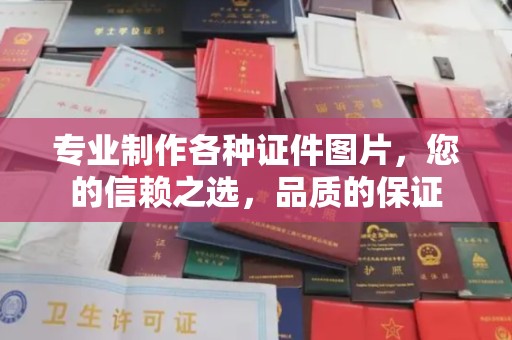 曹县专业制作各种证件图片，您的信赖之选，品质的保证