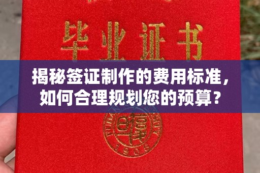 曹县揭秘签证制作的费用标准，如何合理规划您的预算？