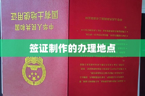 曹县签证制作的办理地点
