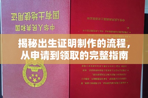 曹县揭秘出生证明制作的流程，从申请到领取的完整指南
