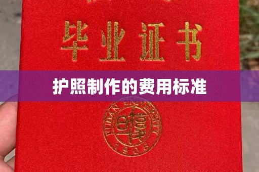 曹县护照制作的费用标准